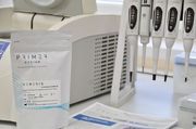 Identyfikacja metodą rt-PCR