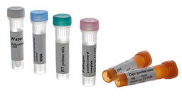 Identyfikacja patogenów qPCR