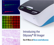 Nowy skaner LI-COR - ODYSSEY M!